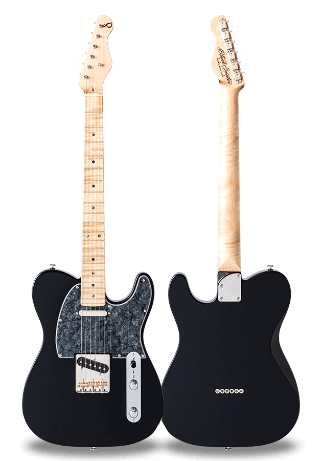 STANDARD SERIES DELTA-S Black Curly Maple on Curly Maple Neck