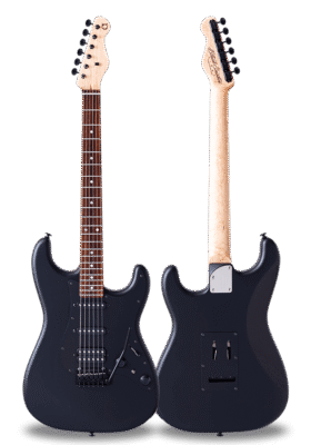 STANDARD SERIES SIGMA-SSH Matt Black Birdseye Maple on Cocobolo Neck