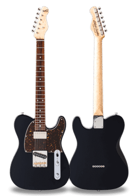 STANDARD SERIES DELTA-SH Black Birdseye Maple on Cocobolo Neck