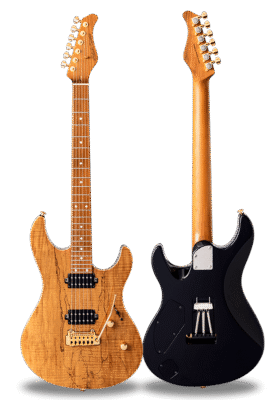 FUTURA-S HH LTD Koa Brown / Alder Back Spalted Maple Top Body
