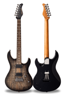 FUTURA-S HH LTD Transparent Black / Alder Back Spalted Maple Top Body