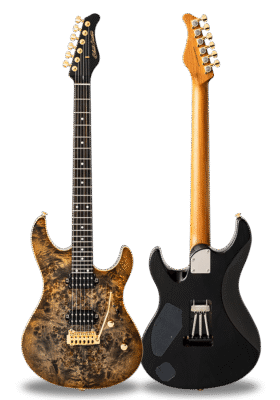 FUTURA-S HH LTD Canyon Burst / Ash Back Poplar Burl Top Body