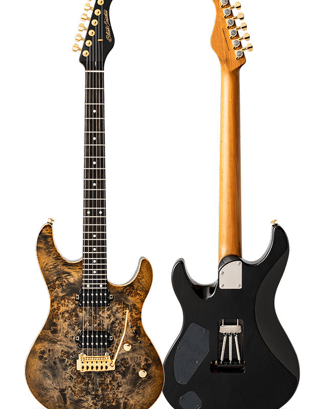 FUTURA-S HH LTD Canyon Burst / Ash Back Poplar Burl Top Body