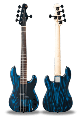 STANDARD SERIES BETA-P5A Experimental Blue