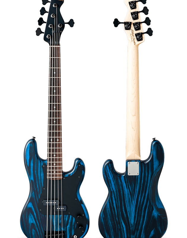 STANDARD SERIES BETA-P5A Experimental Blue