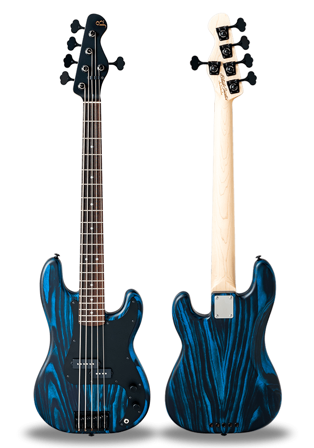 STANDARD SERIES BETA-P5A Experimental Blue
