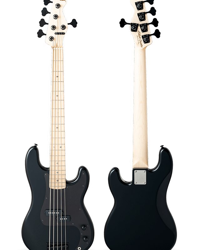 STANDARD SERIES BETA-P5 Matte Black