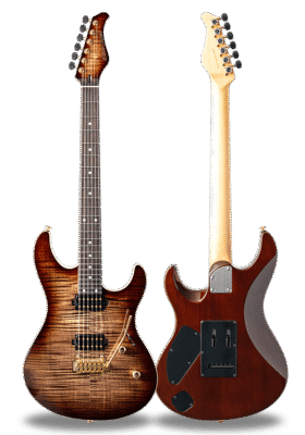 FUTURA-S HH Dark Brown Burst / Ash Back AAAA Flame Mable Top Body – Ebony Fingerboard